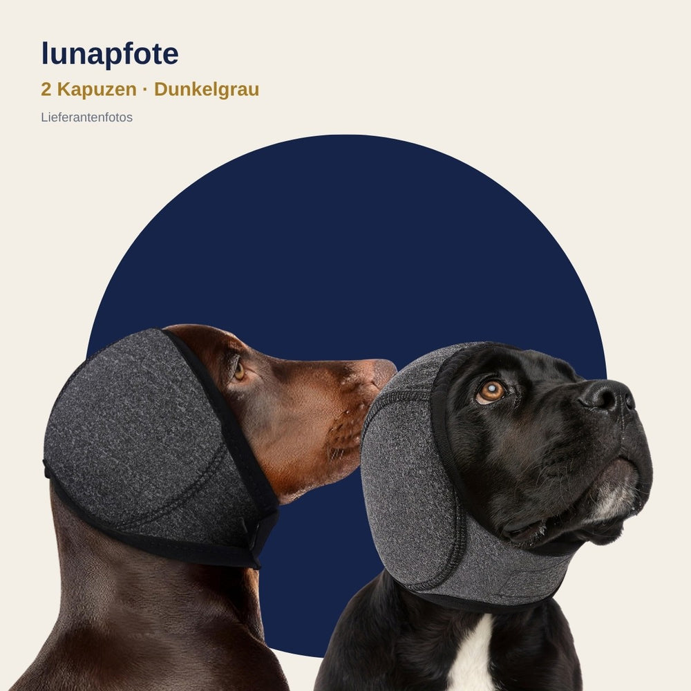 2 Lunapfote Kapuzen in Dunkelgrau (Lieferantenfotos)