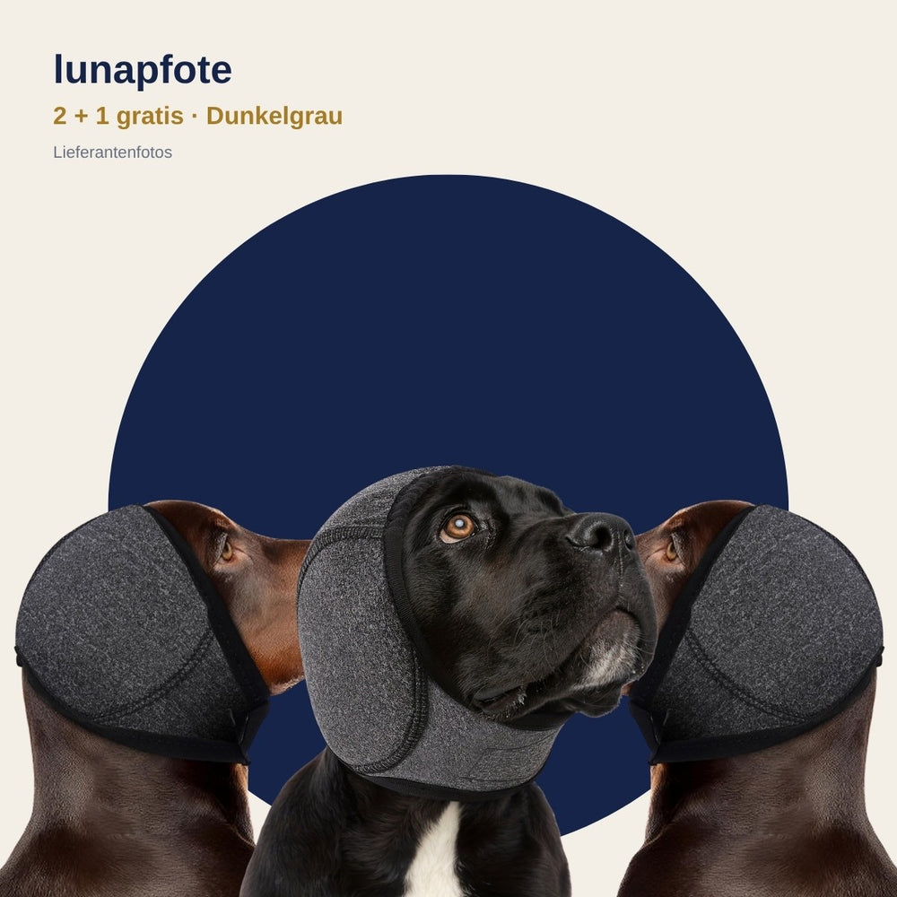 2 + 1 gratis: 3 Lunapfote Kapuzen in Dunkelgrau (Lieferantenfotos)
