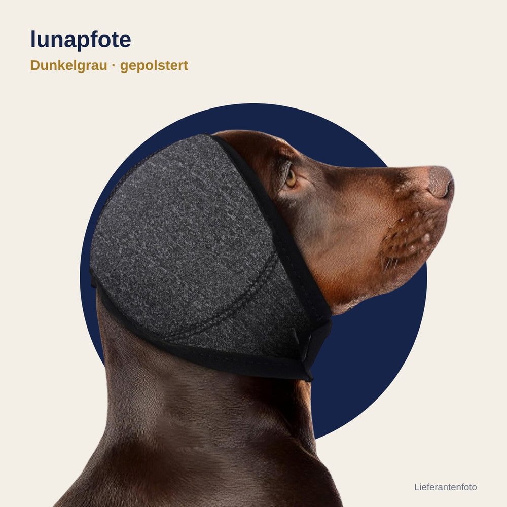 Lunapfote Kapuze Dunkelgrau gepolstert am Hund (Lieferantenfoto)