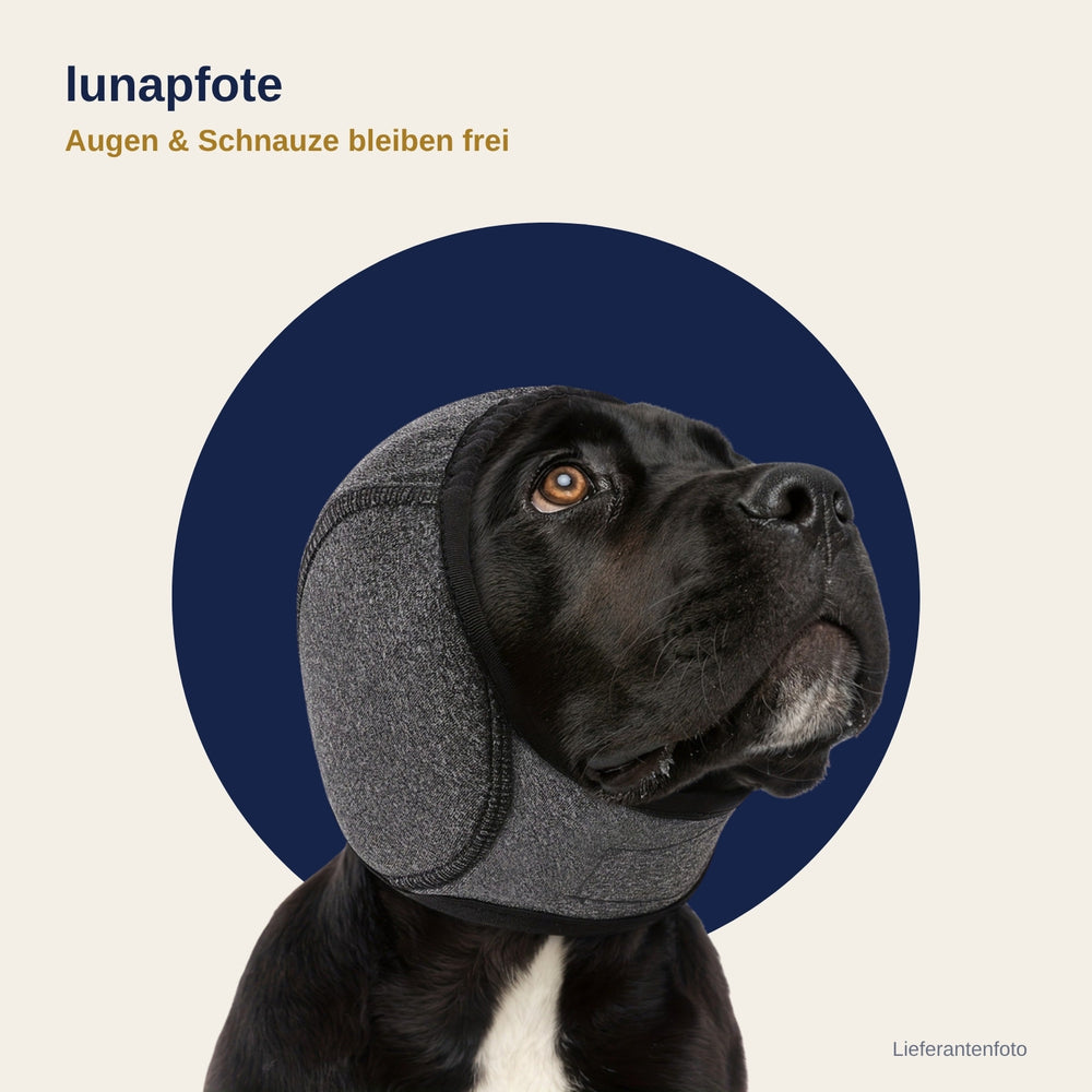 Lunapfote Kapuze Dunkelgrau von vorne (Lieferantenfoto)