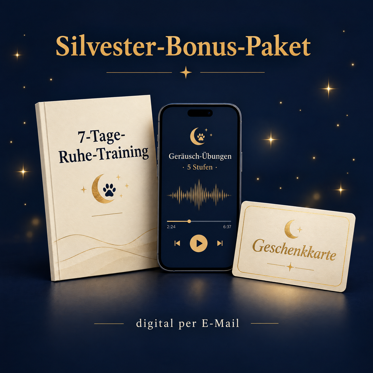 Silvester-Bonus-Paket: 7-Tage-Ruhe-Training (PDF), 5 Geräusch-Übungs-Audios und Geschenkkarte – digital per E-Mail