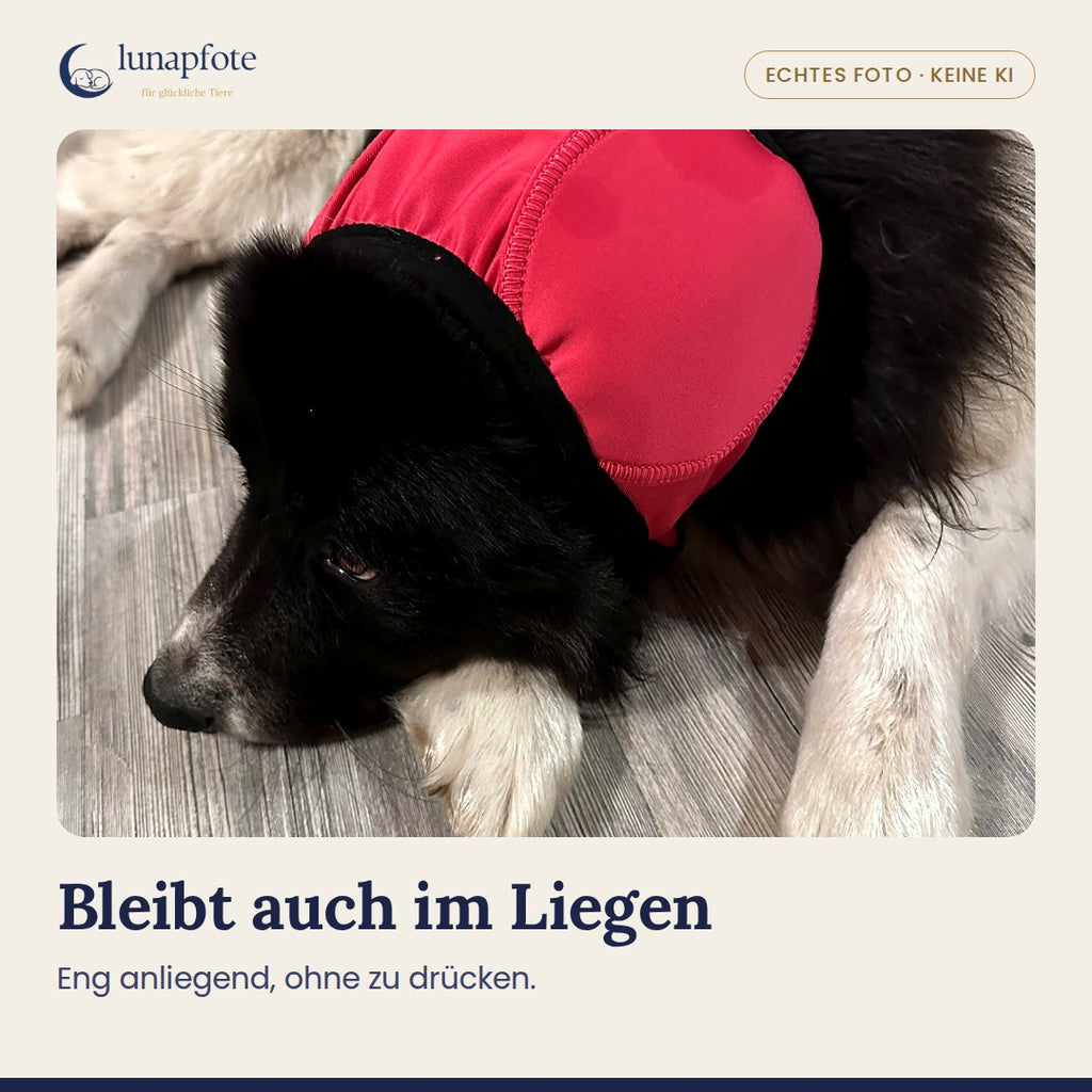 Echtes Foto: die Kapuze bleibt auch im Liegen sitzen