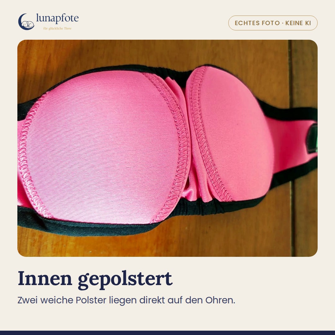 Echtes Foto: die zwei weichen Polster innen in der Kapuze