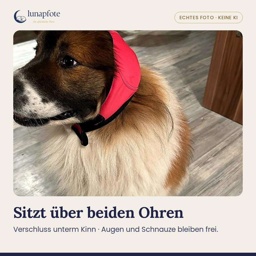 Echtes Foto: die Kapuze sitzt über beiden Ohren, Verschluss unterm Kinn