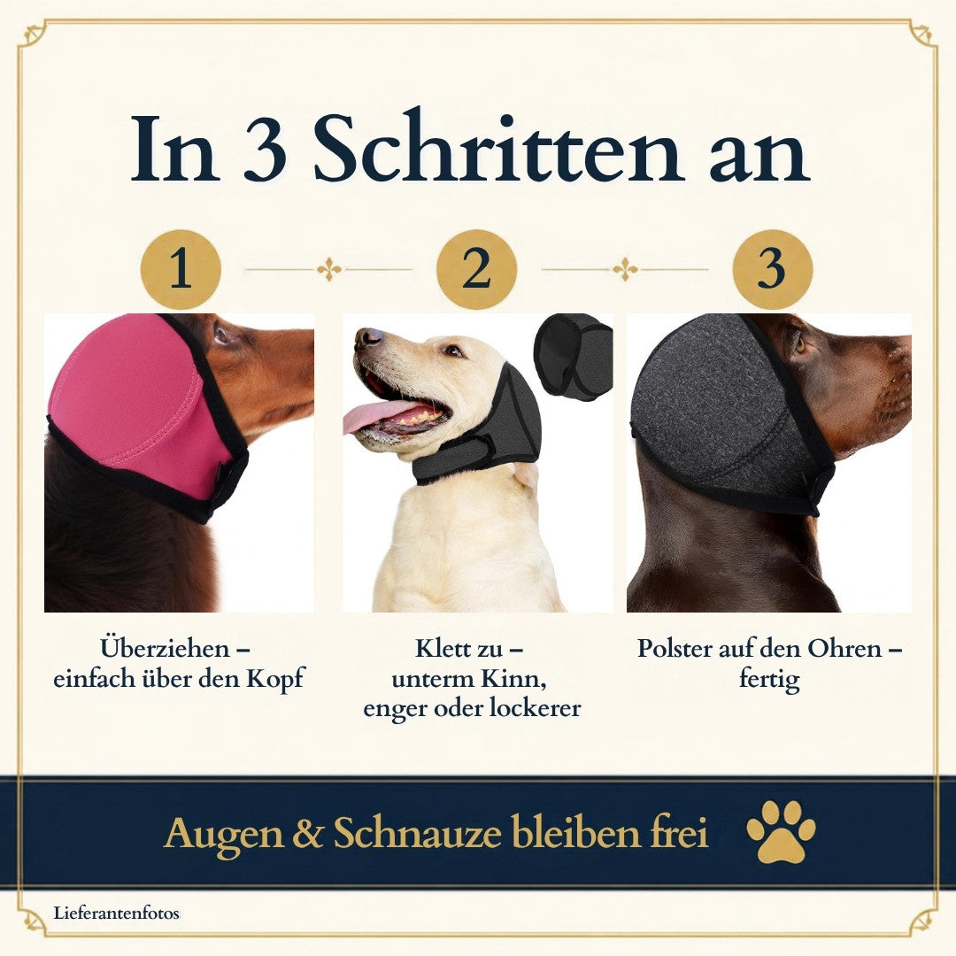 In 3 Schritten anziehen