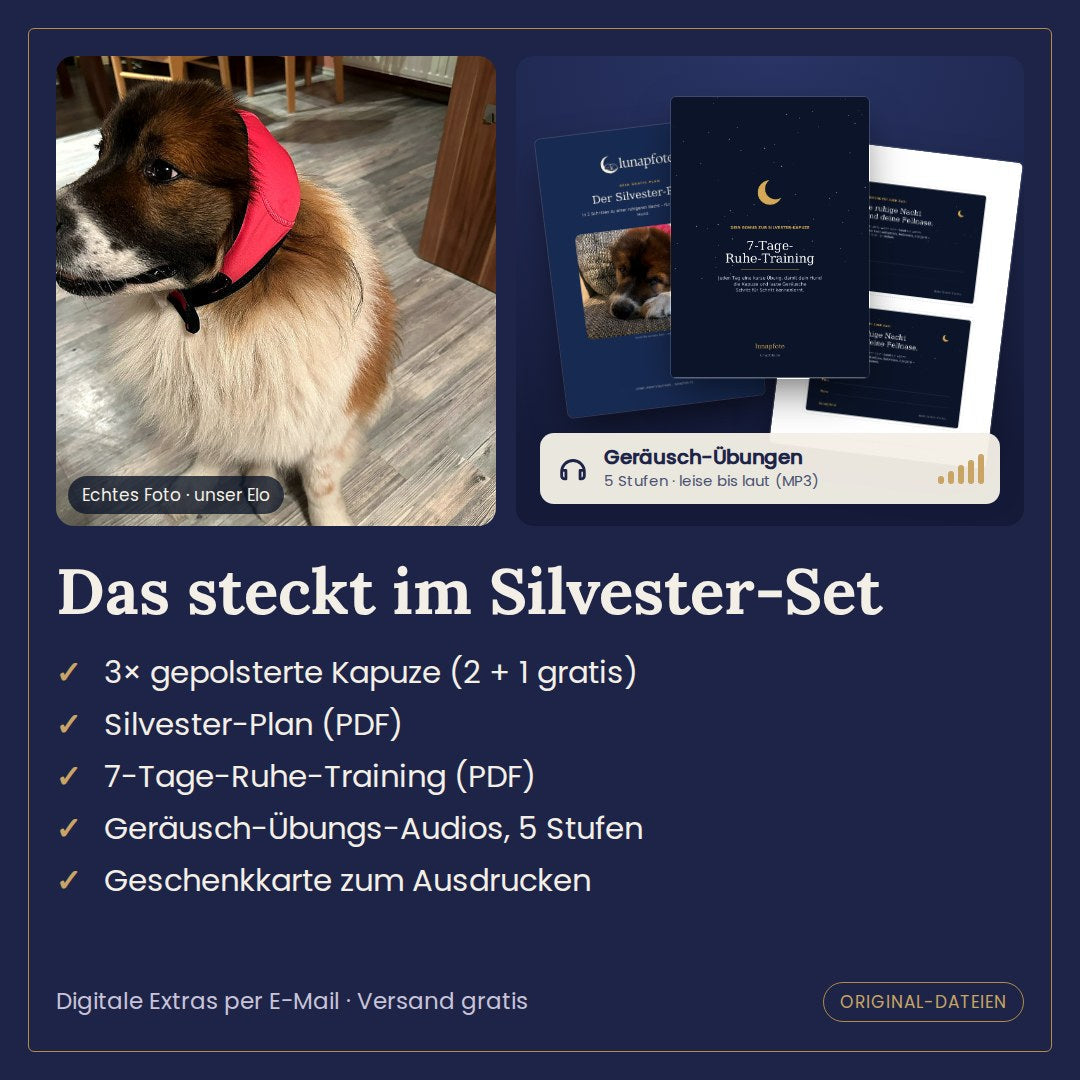 Das steckt im Silvester-Set