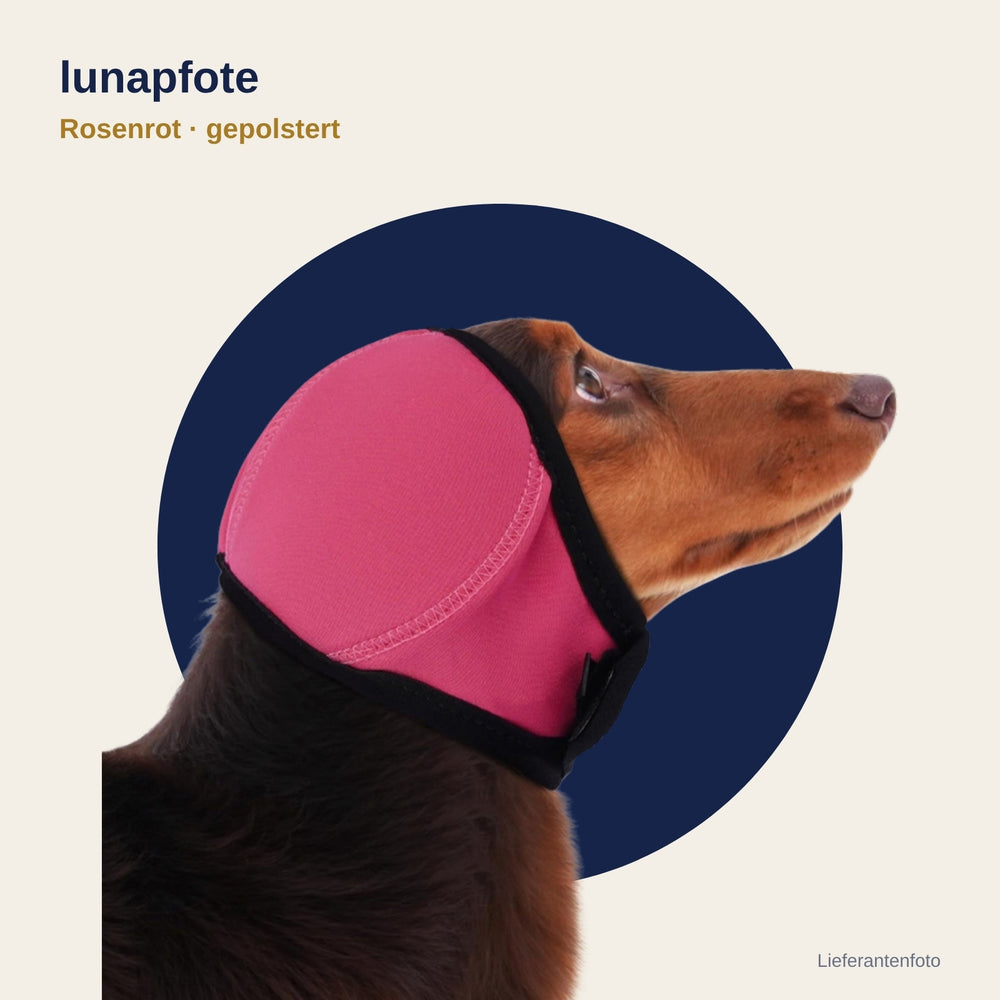 Lunapfote Kapuze Rosenrot gepolstert am Hund (Lieferantenfoto)