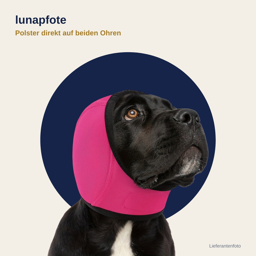 Lunapfote Kapuze Rosenrot von vorne (Lieferantenfoto)